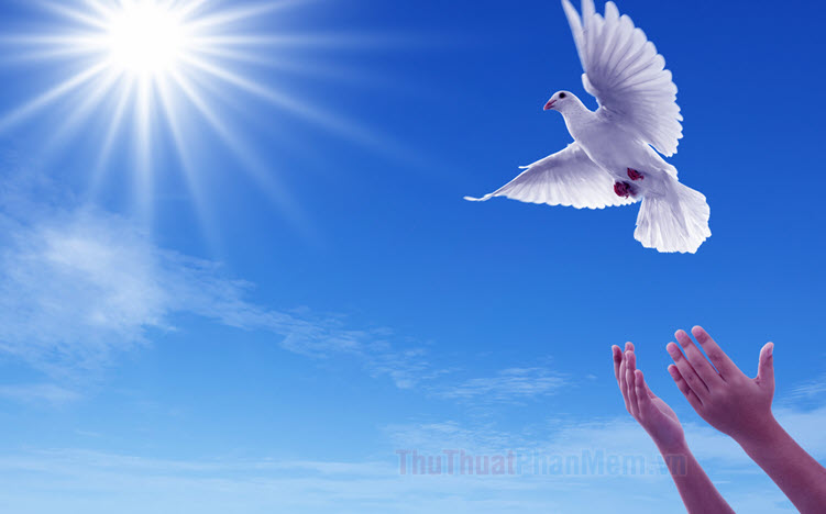 LINH ĐẠO HÒA BÌNH